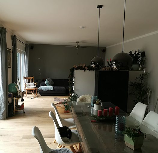 firma de constructii